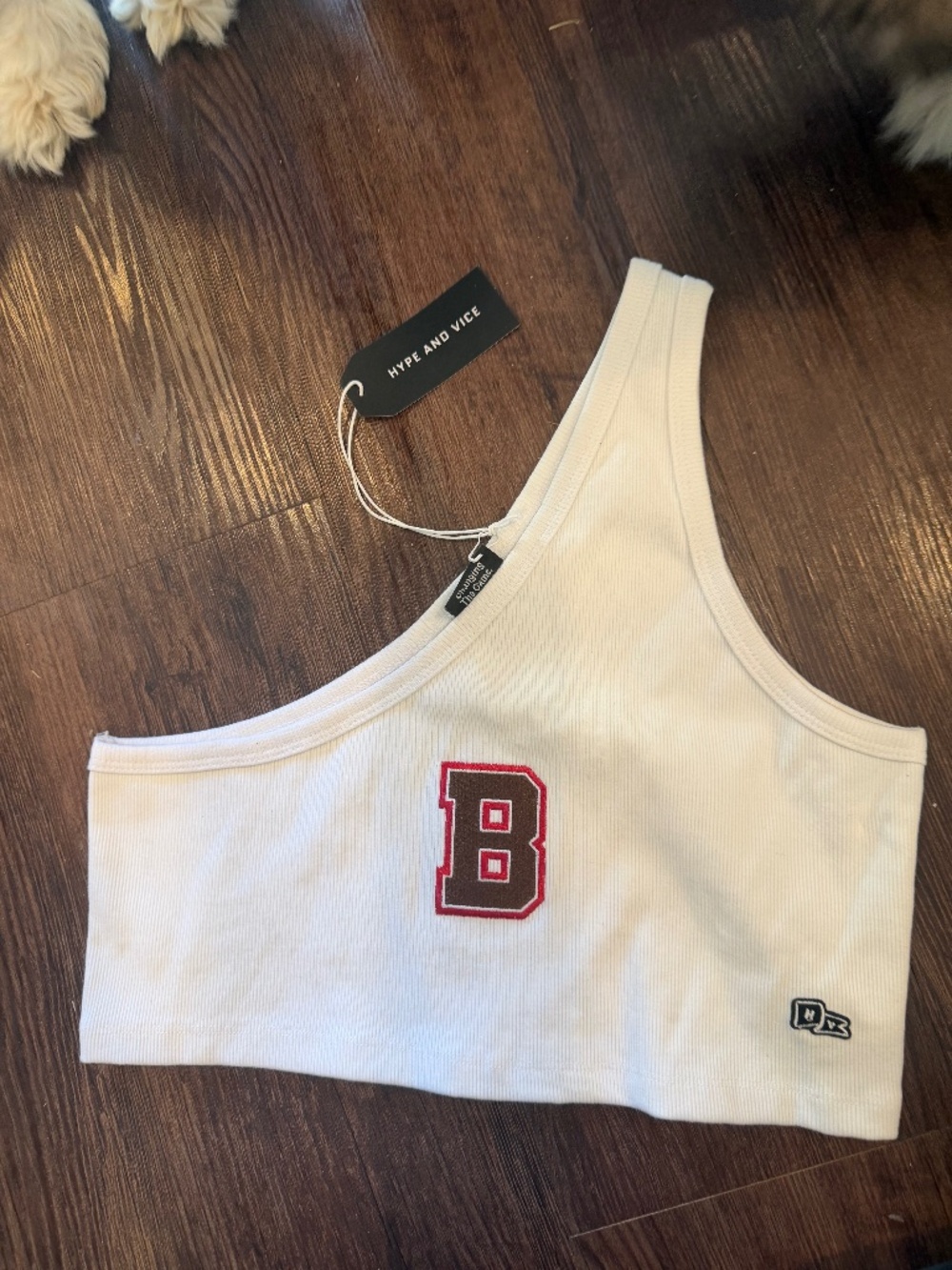 Brown University Hype and Vice Tank